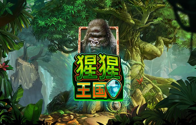 风云体育app官网入口